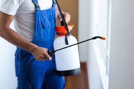 Best Pest Control for Multi-Family Homes  in Brushy Creek, TX